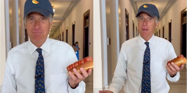 Mitt Romney hot dog