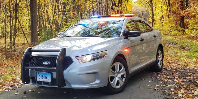 Connecticut State Police vehicle in forest road