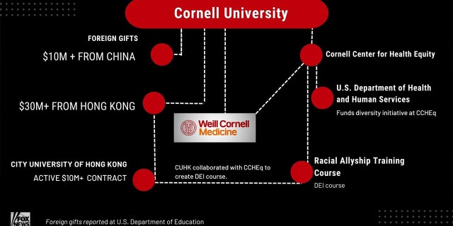 Weill Cornell Medicine China funding