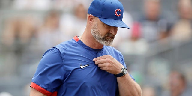David Ross walks off field