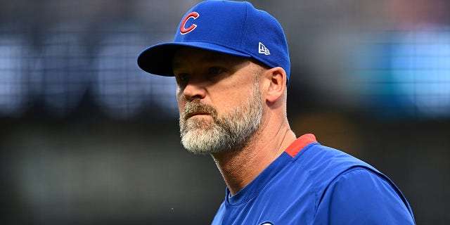 David Ross guarda sul campo
