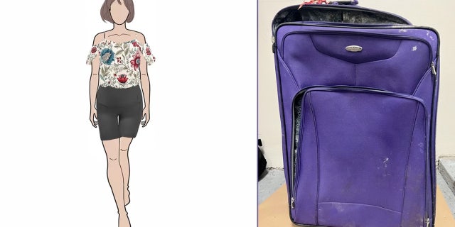 Delray Beach Police Department rawing of woman wearing floral shirt and black shorts next to a purple suitcase.