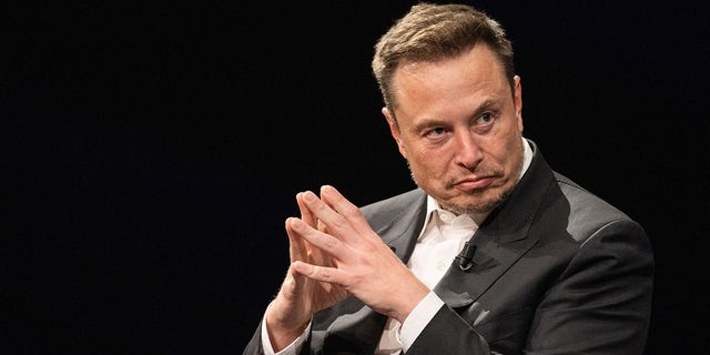 Elon Musk in Paris