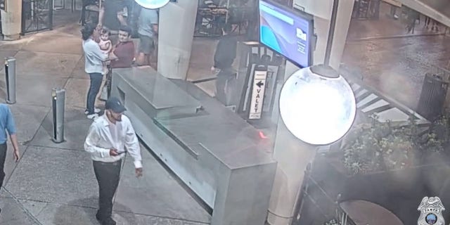 Luxury cars stolen in Tampa, Florida