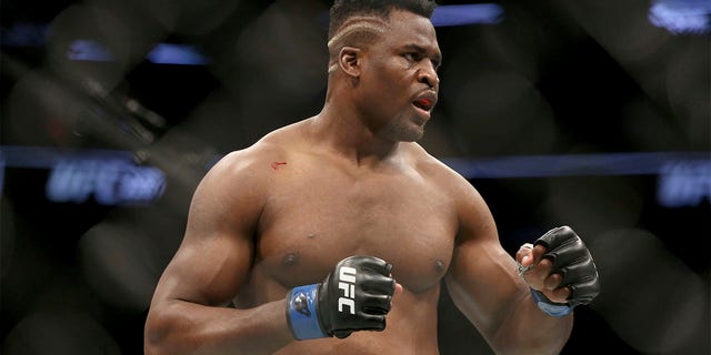 Francis Ngannou fights