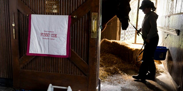 Funny Cide standing in his stall