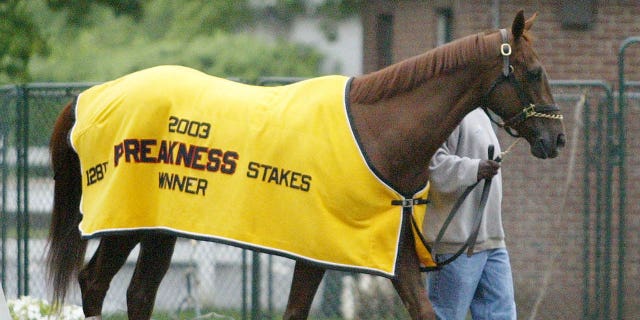 Funny Cide walks out of the barn at Belmont race track