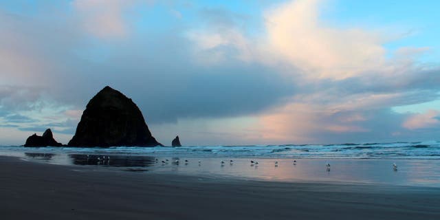 Haystack Rock with seagulls