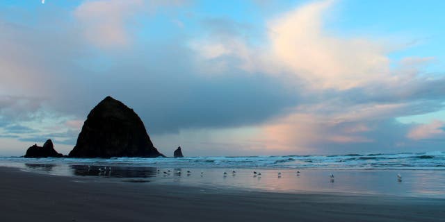 Haystack Rock with seagulls