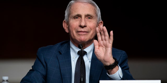 Dr. Fauci responds to questions from Sen. Rand Paul during hearing