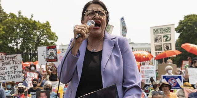 Rashida Tlaib