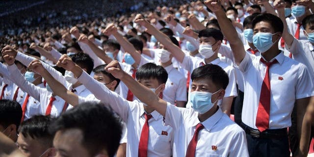 North Korea masks