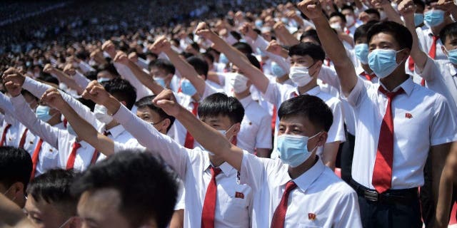 North Korea masks