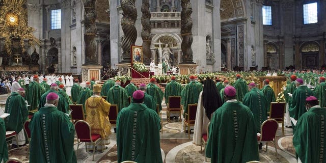 Catholic bishops wearing green attend the Synod in Italy 