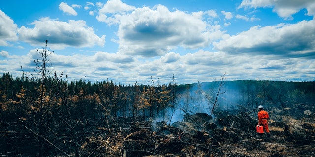 French firefighter walks in burned down forest in Quebec