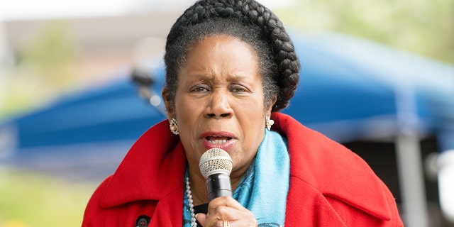 Sheila Jackson Lee