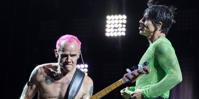 Flea plays bass with pink hair while onstage with Anthony Kiedis