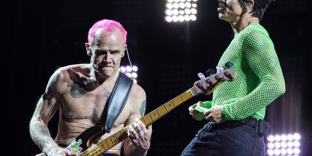 Flea plays bass with pink hair while onstage with Anthony Kiedis