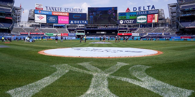 A general view of the field at Yankee Stadium