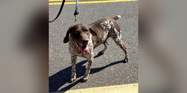Atlanta police K-9 named Ben