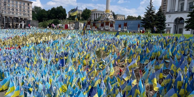 Kyiv flags