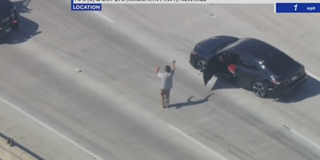 Homeless hitchhiker surrenders to police on freeway
