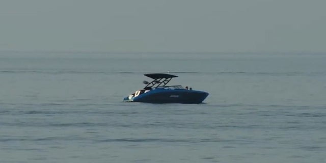Illinois man drowns in Lake Michigan