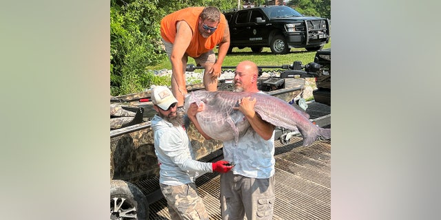 Micka Burkhart and two men carry his record blue catfish.