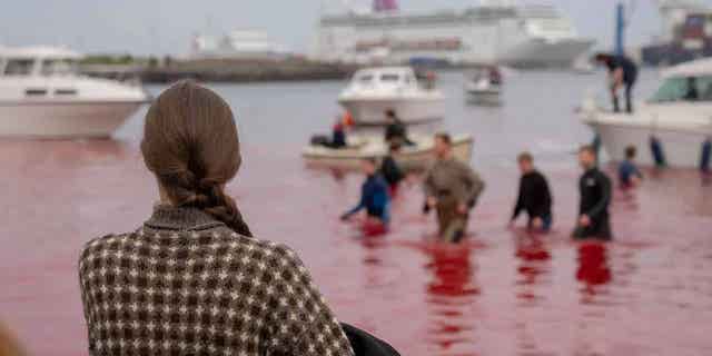 Faroe Islands hunting