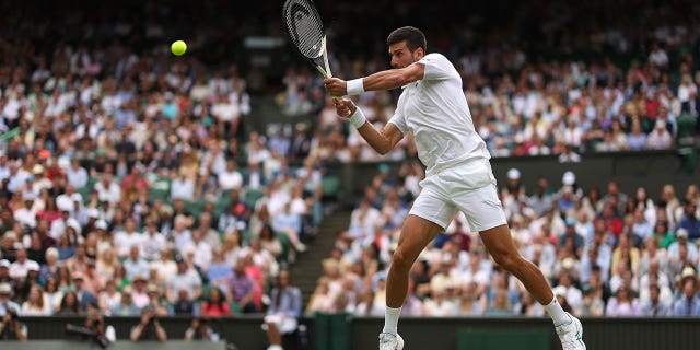 Novak Djokovic in action at Wimbledon