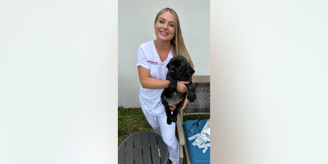 Pet summer safety tips