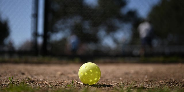 A pickleball