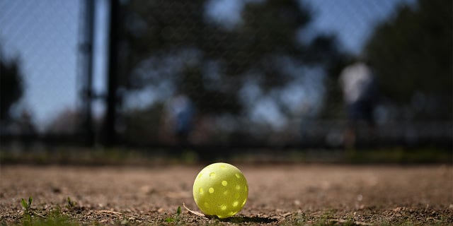 A pickleball