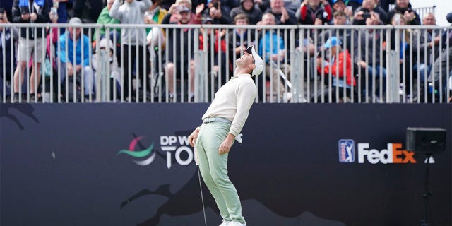 Rory McIlroy celebrates