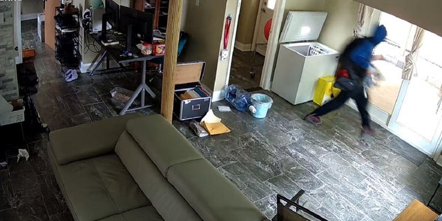 Delaware police video