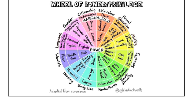 "Wheel of Power/Privilege" slide