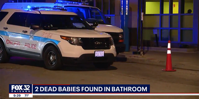 Chicago Police Said 2 Dead Babies Were Found In A Bathroom At Daycare ...