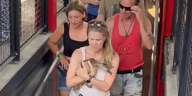 Roller Coaster Duck
