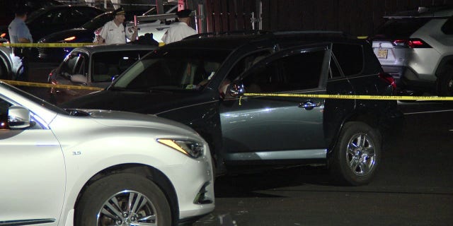 scene of attempted carjacking