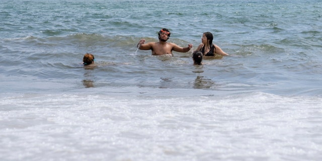 Swimmers in New York waters