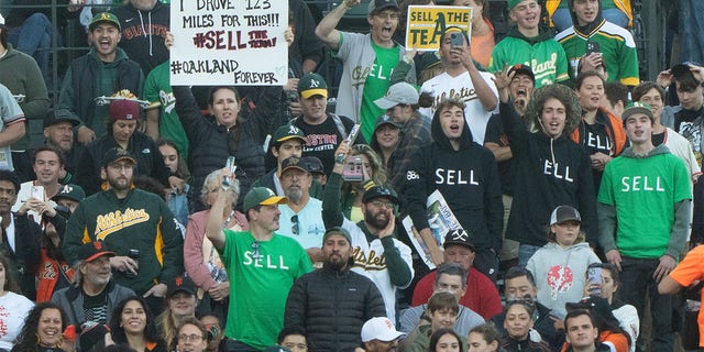 A's and Giants fans hold up signs
