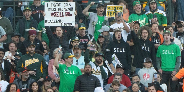 A's and Giants fans hold up signs