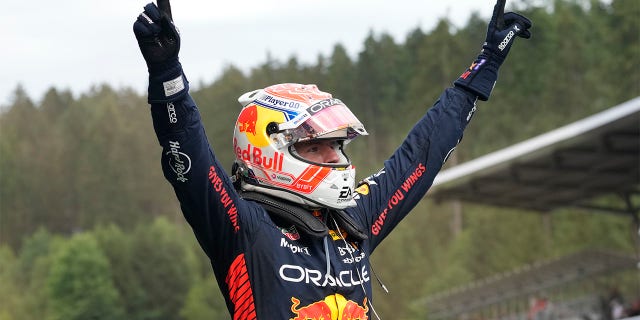 Max Verstappen celebrates