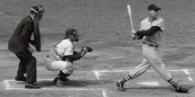 Ted Williams and Yogi Berra