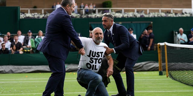 Protester arrested by security at Wimbledon
