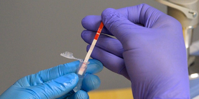 A heroin sample is tested for xylazine