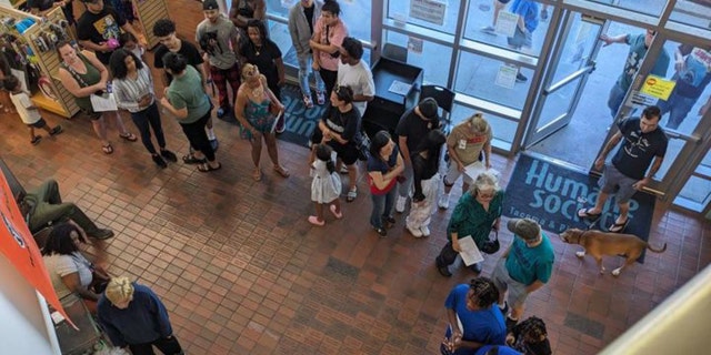 The Humane Society for Tacoma & Pierce County adoption event crowds