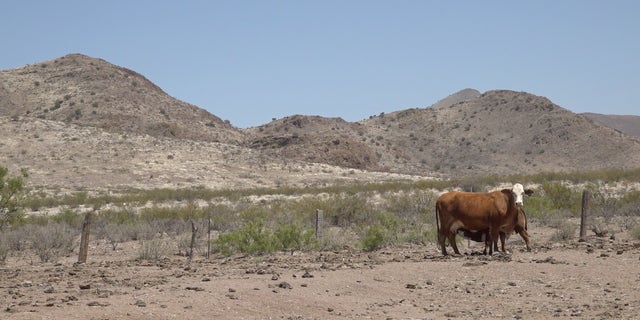 New Mexico ranch along the border
