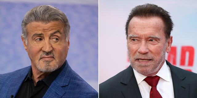 A split image of Sylvester Stallone and Arnold Schwarzenegger