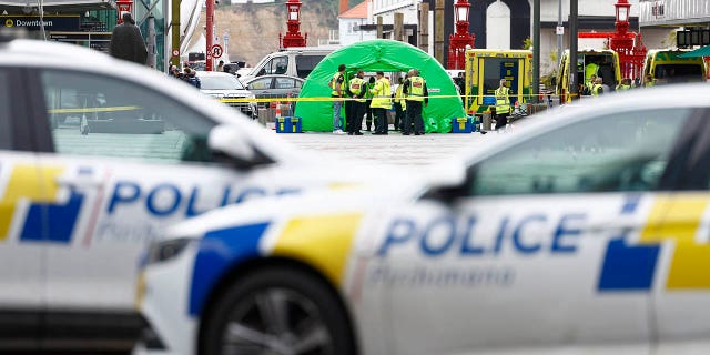 Police scene after Auckland shooting